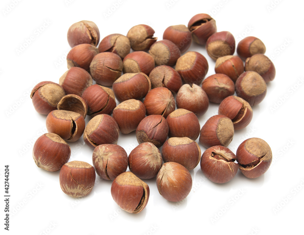 Heap of hazelnuts isolated on white background Heap of hazelnuts isolated on white background