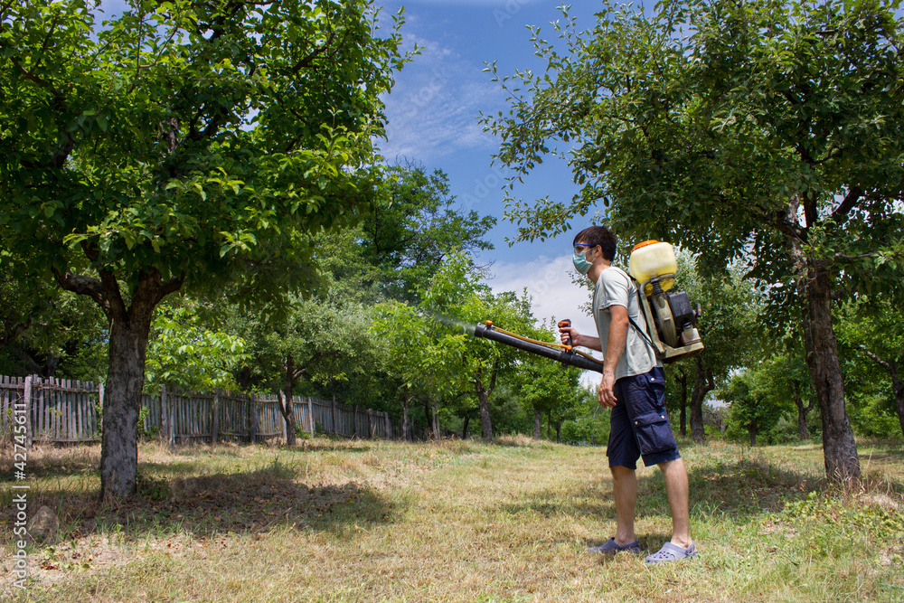 farmer spraying the trees