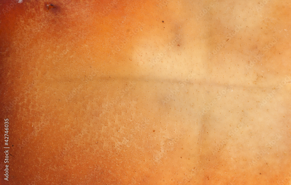 Fototapeta premium background smoked pig skin