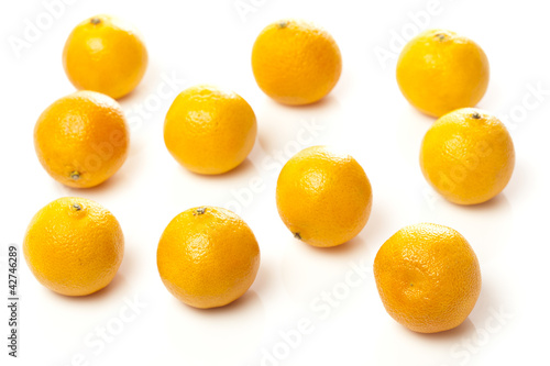 Ripe and Fresh Mandarin Orange