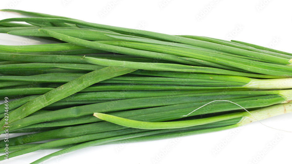 Healthy vegetable green onion isolated white on background Healthy vegetable green onion isolated white on background