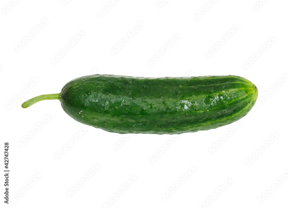 Fresh green Cucumber on a white background Fresh green Cucumber on a white background