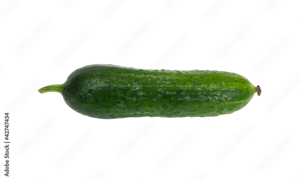 cucumber on white background cucumber on white background