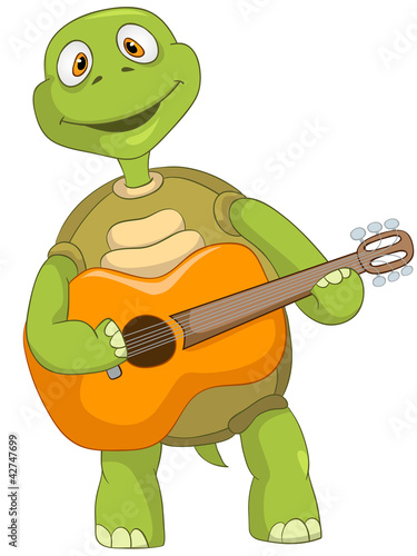 Funny Turtle. Guitarist.