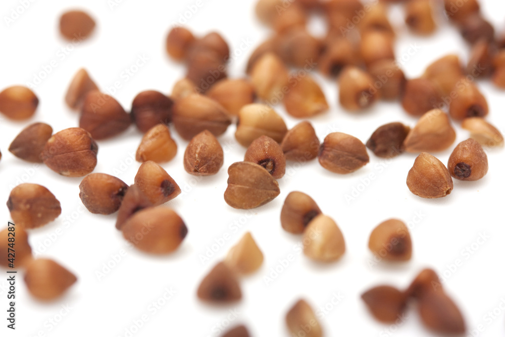 buckwheat on white background. close buckwheat on white background. close