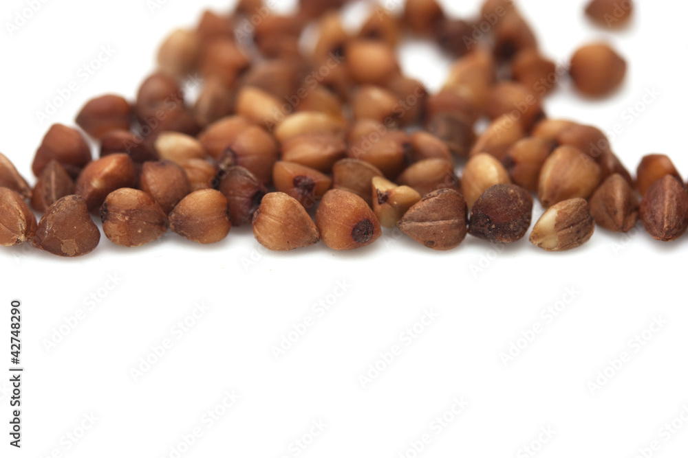 buckwheat on white background. close buckwheat on white background. close
