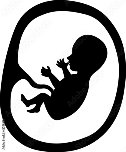 fetus in a womb