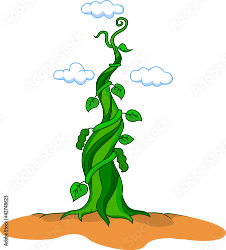 beanstalk