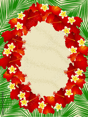 浜ハイビスフレーム