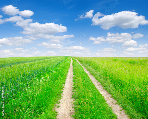 road in field