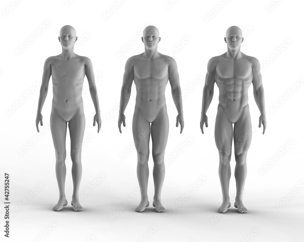 3d render set of portrait bodybuilder 3d render set of portrait bodybuilder