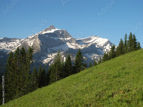 Mountain in the Bernese Oberland, named Oldenhorn