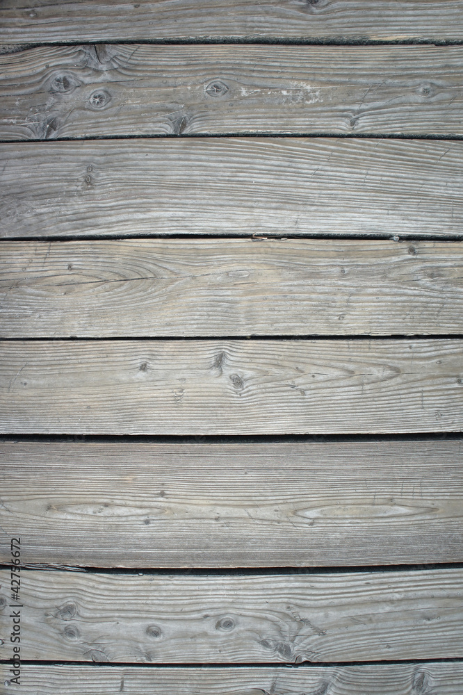 Naklejka premium SONY DSC