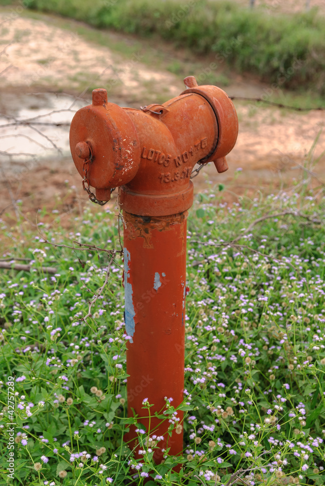 Fire hydrant Fire hydrant