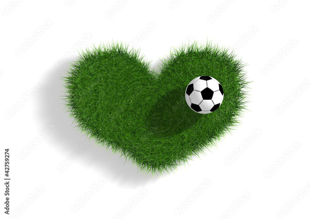 FussballLeidenschaft StockIllustration Adobe Stock