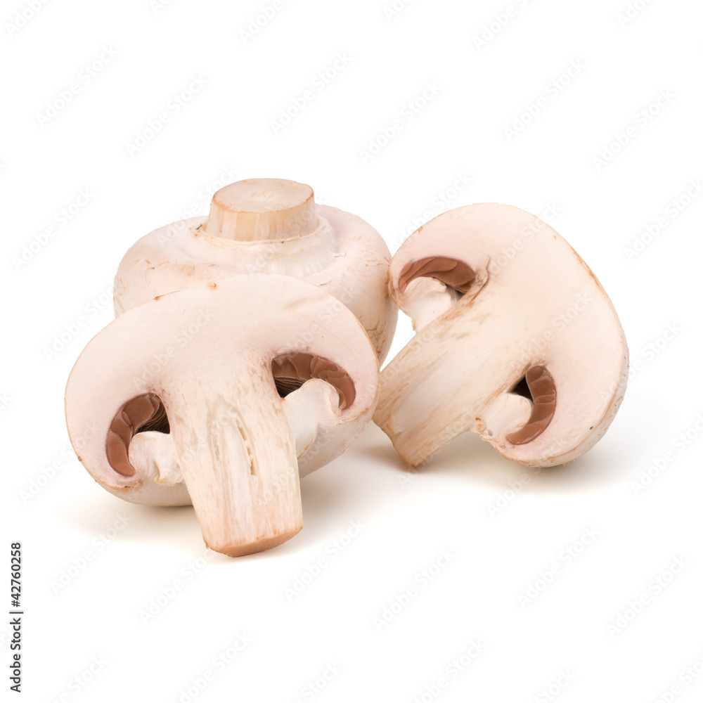 Fototapeta premium Champignon mushroom