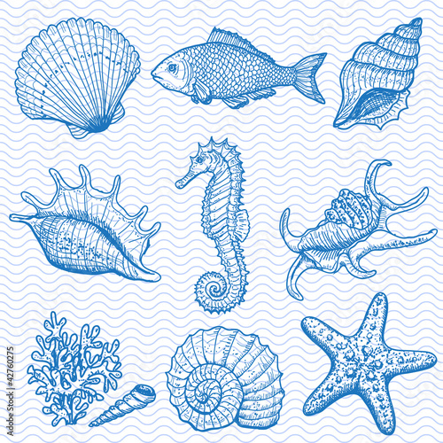 Sea collection. Original hand drawn illustration
