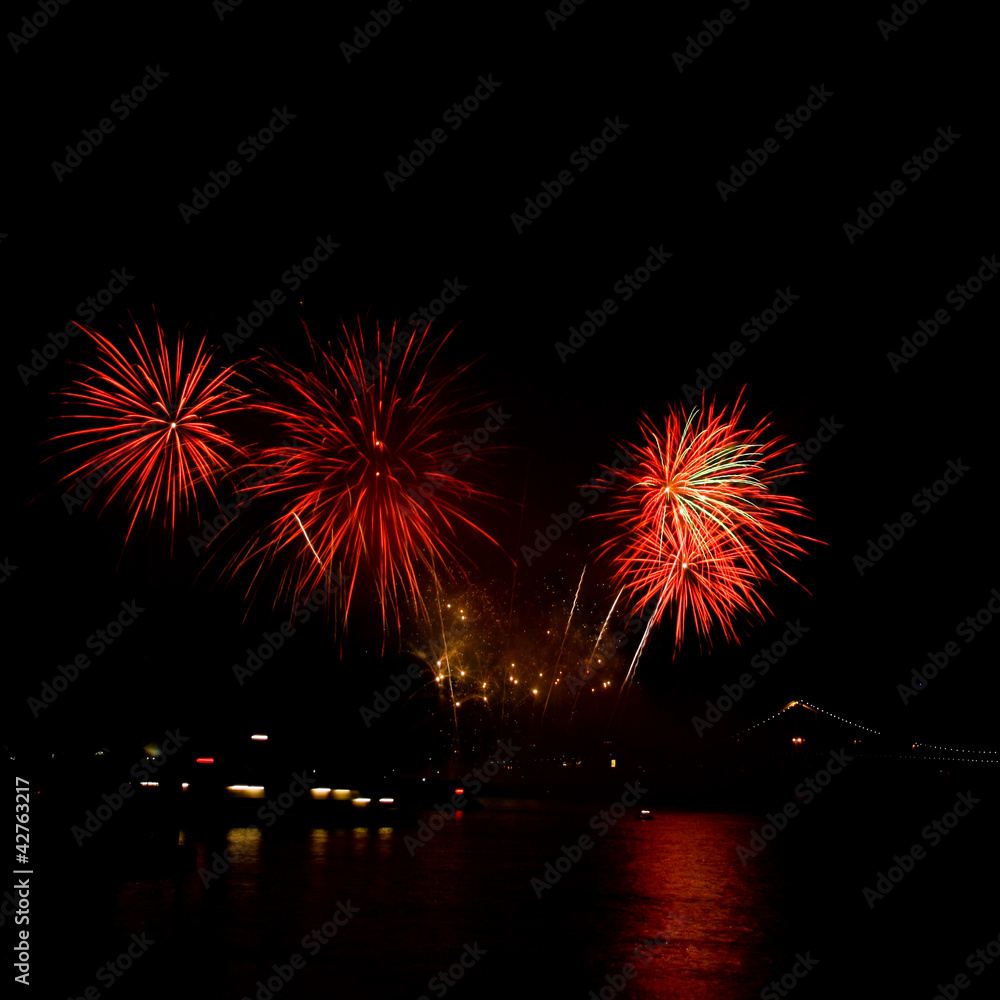 Colorful fireworks on the black background