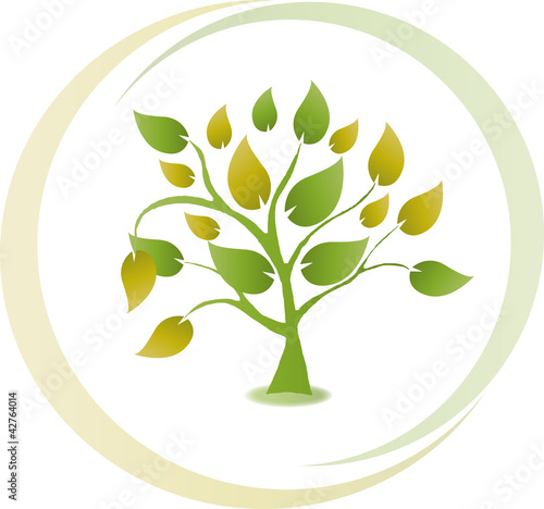 Baum, Blätter, Bio, Eco