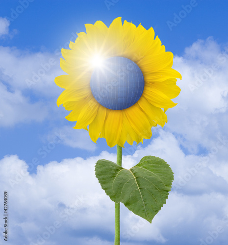 Sonnenblume mit Sonnenkollektor