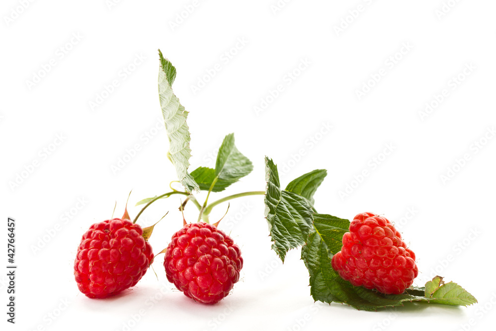raspberry raspberry