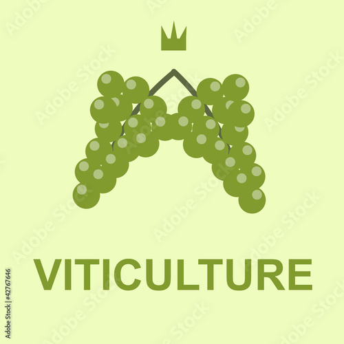 VITICULTURE