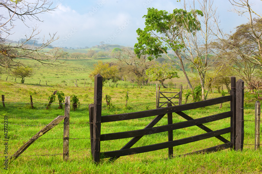 wood gate in green field