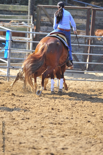 Girl riding a horse in competition