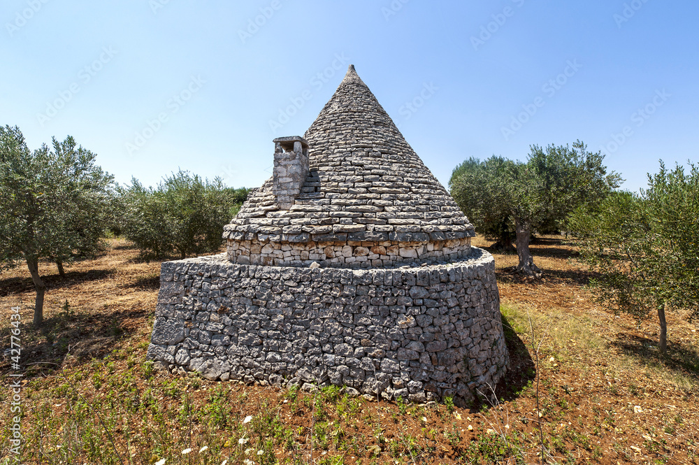 Murge (Puglia, italy) - Trullo and olive trees
