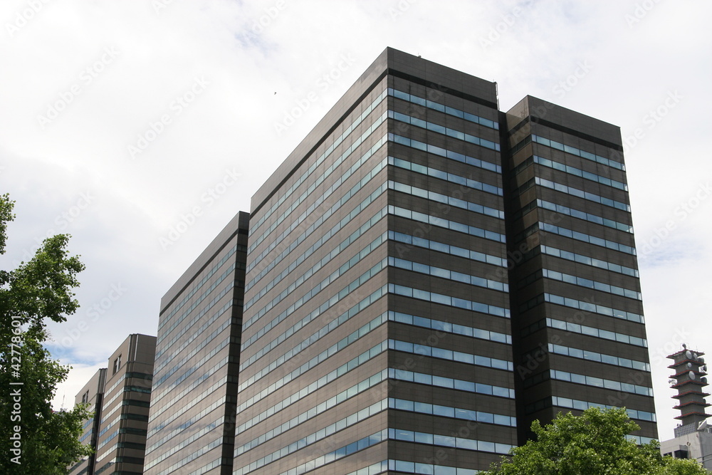 Tokyo modern building Tokyo modern building