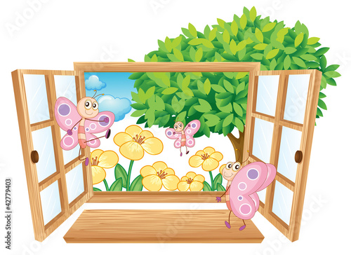 window
