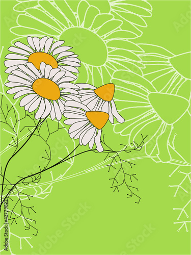 Kamille, Blumenstrauß, Blumen, Hintergrund, Muttertag,	 	