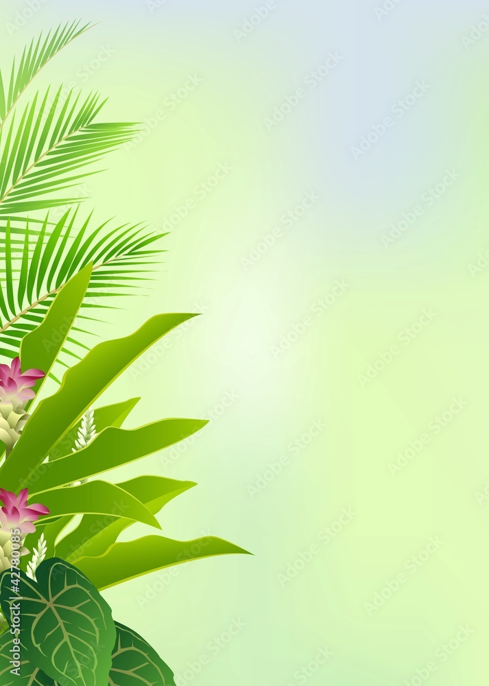 beautiful tropical forest background