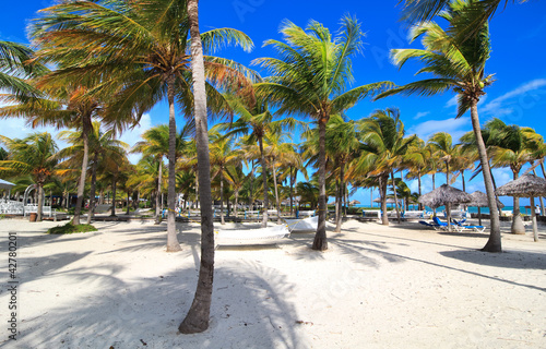 Canvas Print Area of hotel Melia Cayo Guillermo.