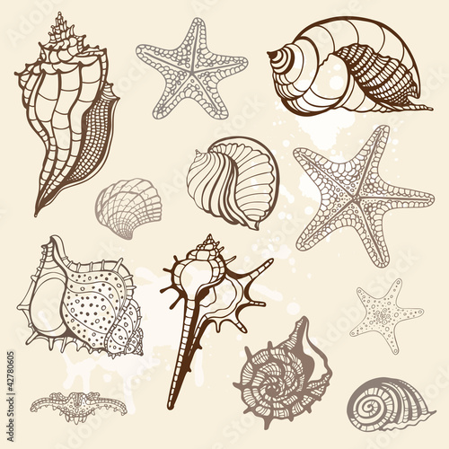 Sea collection. Hand drawn vector illustration