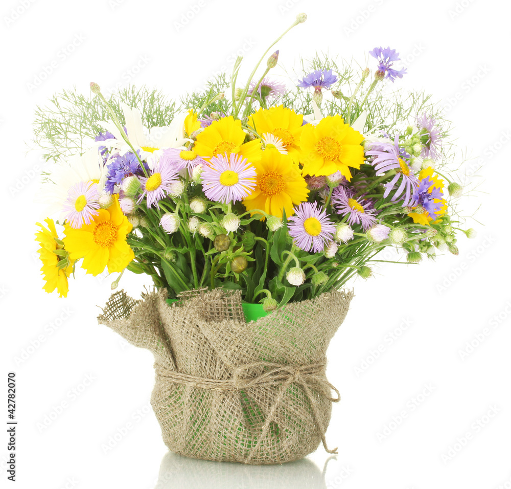 beautiful bouquet of bright  wildflowers in flowerpot, isolated