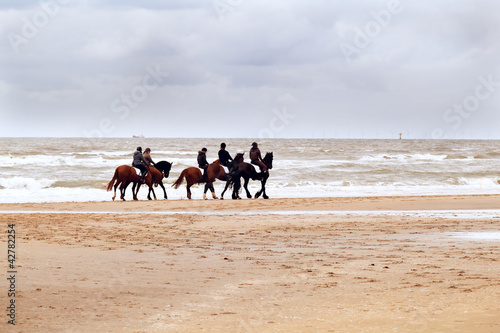 few horses on beach
