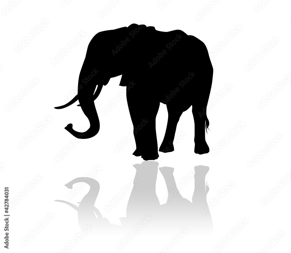 Eléphant en ombre chinoise Stock Illustration | Adobe Stock