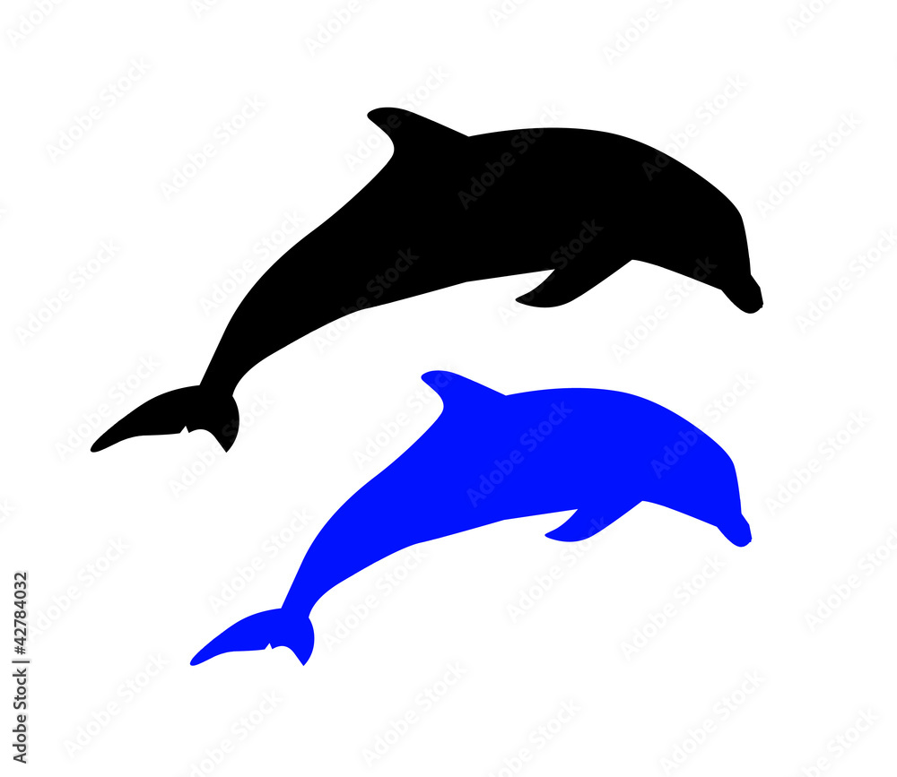 Dauphin bleu et noir Dauphin bleu et noir