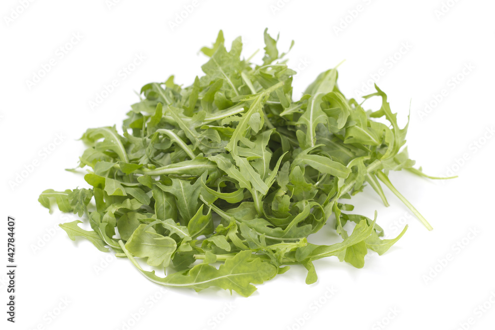 Rucola Rucola