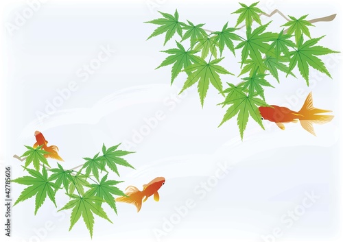 金魚と青もみじ03