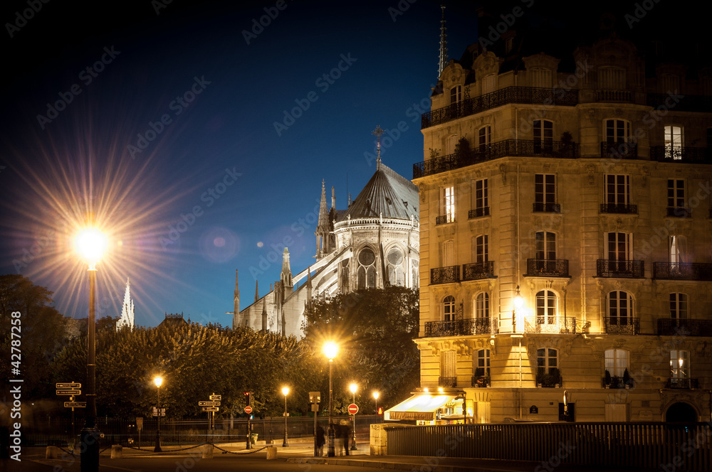 Fototapeta premium Notre Dame de Paris at night.