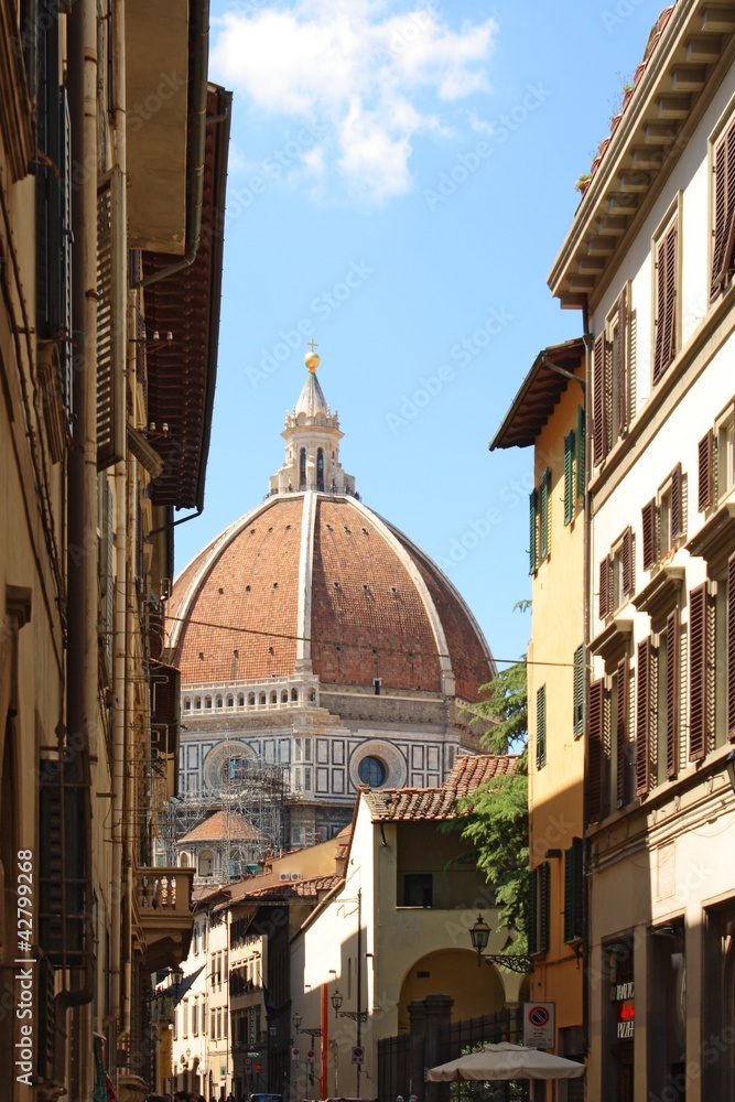 View of the Duomo and the city of Florence