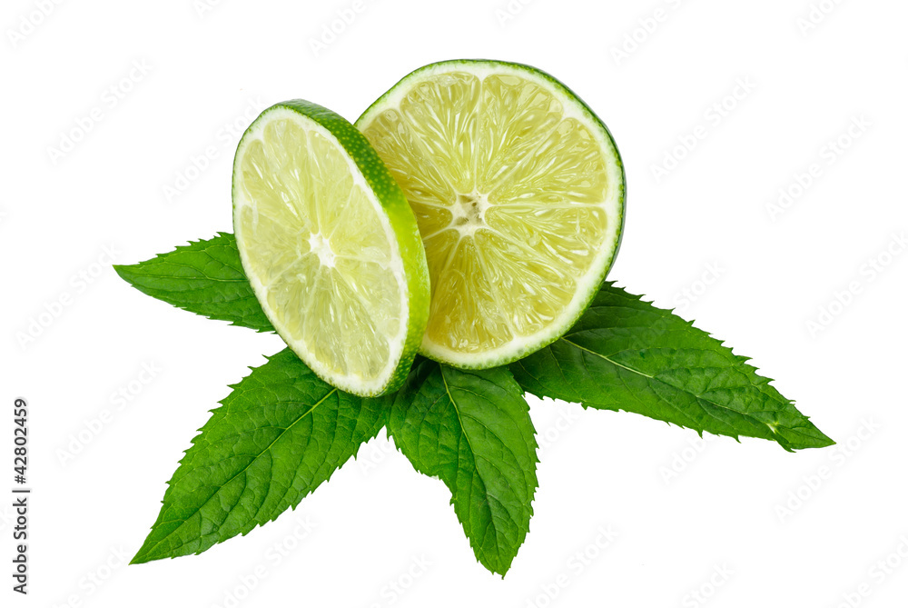 Limes and mint isolated on white background Limes and mint isolated on white background