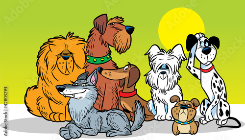 Dogs