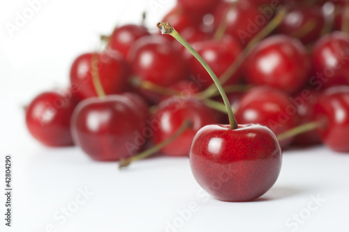 Wallpaper Mural さくらんぼ Torontodigital.ca