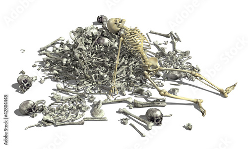 Pile of Bones with Skeleton 2