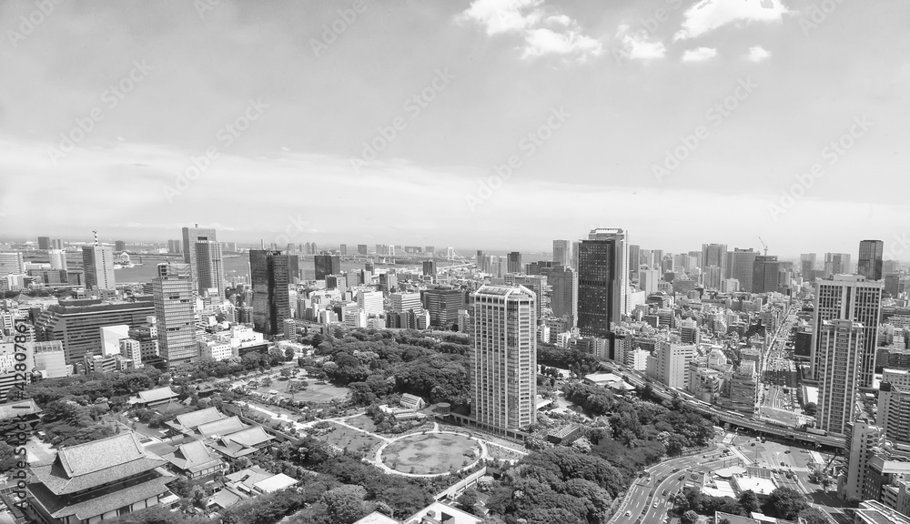 View of Tokyo from Tokyo Tower.Black & white photography