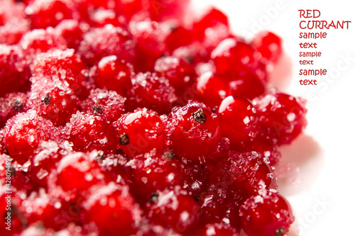 Red currants with sugar