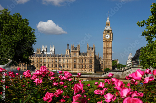 Slika na platnu Big Ben with roses in London, UK